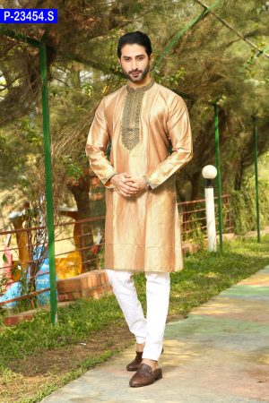 Embroidered Indian Silk Panjabi