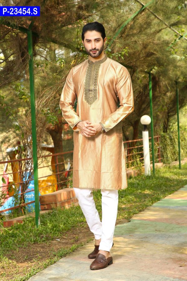 Embroidered Indian Silk Panjabi