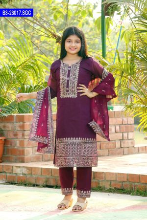 Artistic Design Embroidered Baby Silk Shalwar Kameez