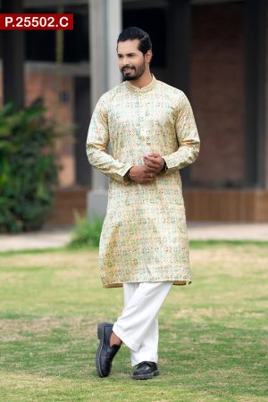 Attractive Embroidered Design Cotton Panjabi