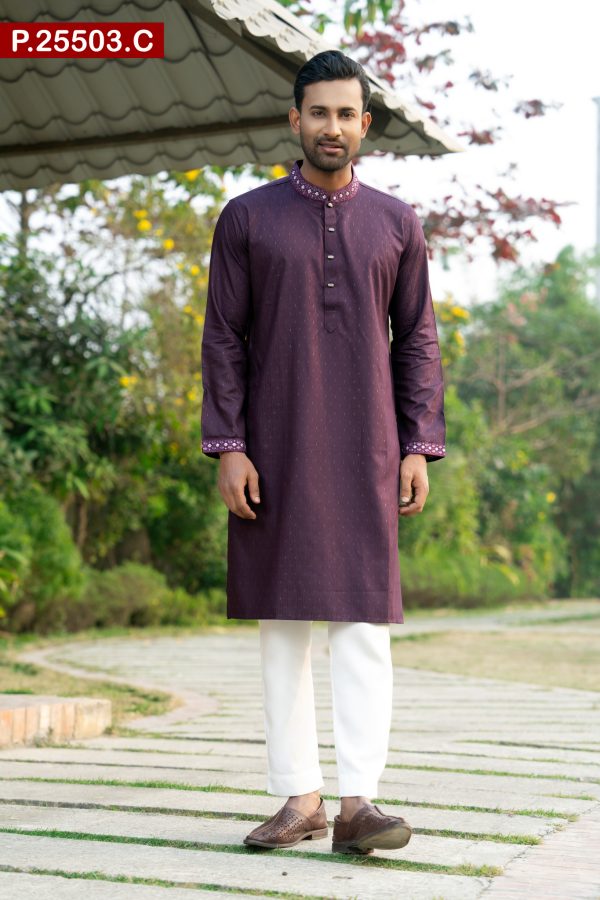 Attractive Embroidered Design Cotton Panjabi