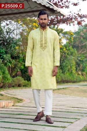 Attractive Embroidered Design Cotton Panjabi