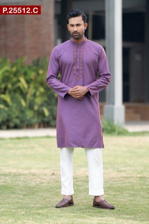Attractive Embroidered Design Cotton Panjabi