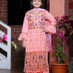 Imported Georgette Embroidered Baby Shalwar Kameez Set
