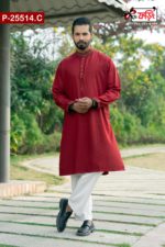 Luxury Women's Half Silk Saree And Imported Fabric Embroidered Cotton Panjabi for Couples - Image 3